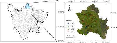 Alpine wetland degradation reduces carbon sequestration in the Zoige Plateau, China